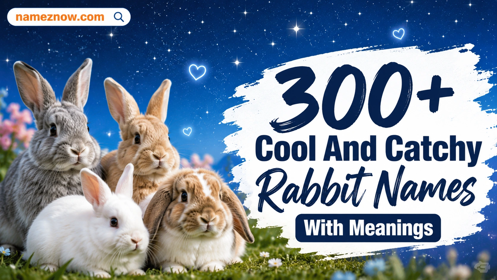 Rabbit Names