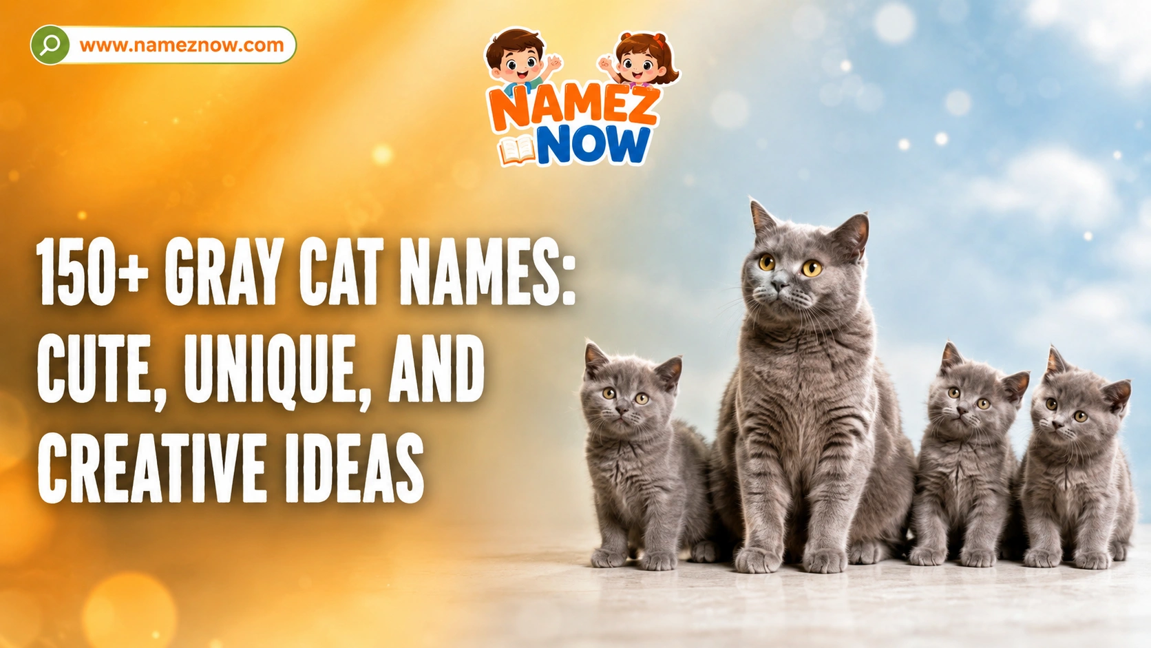 150+ Gray Cat Names: Cute, Unique, And Creative Ideas